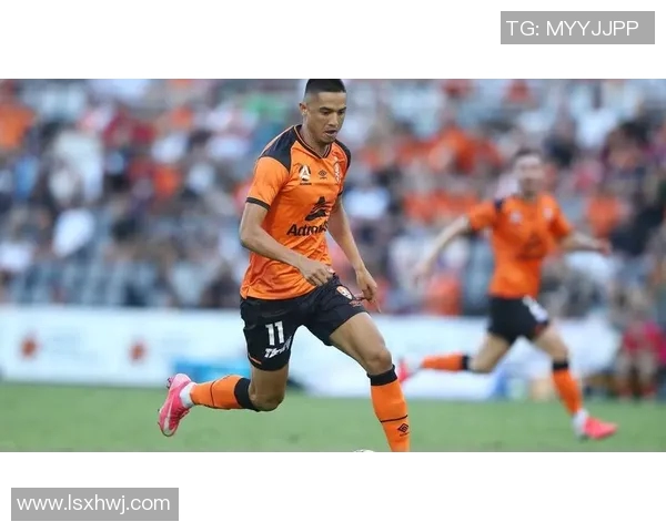 悉尼狮吼与布里班狮吼的精彩对决谁将赢得这场激烈的较量